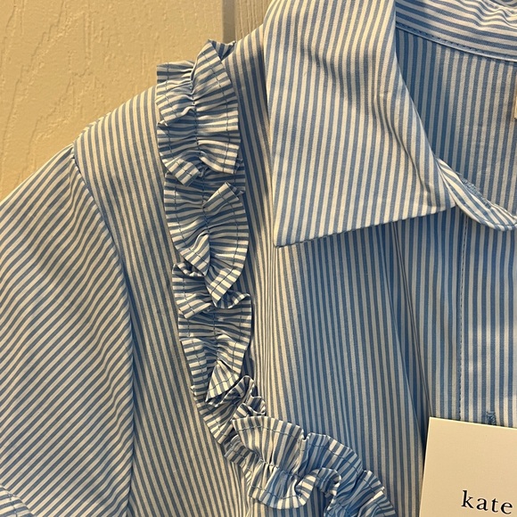 Kate Spade Blue Ruffle Dress - Picture 4 of 4